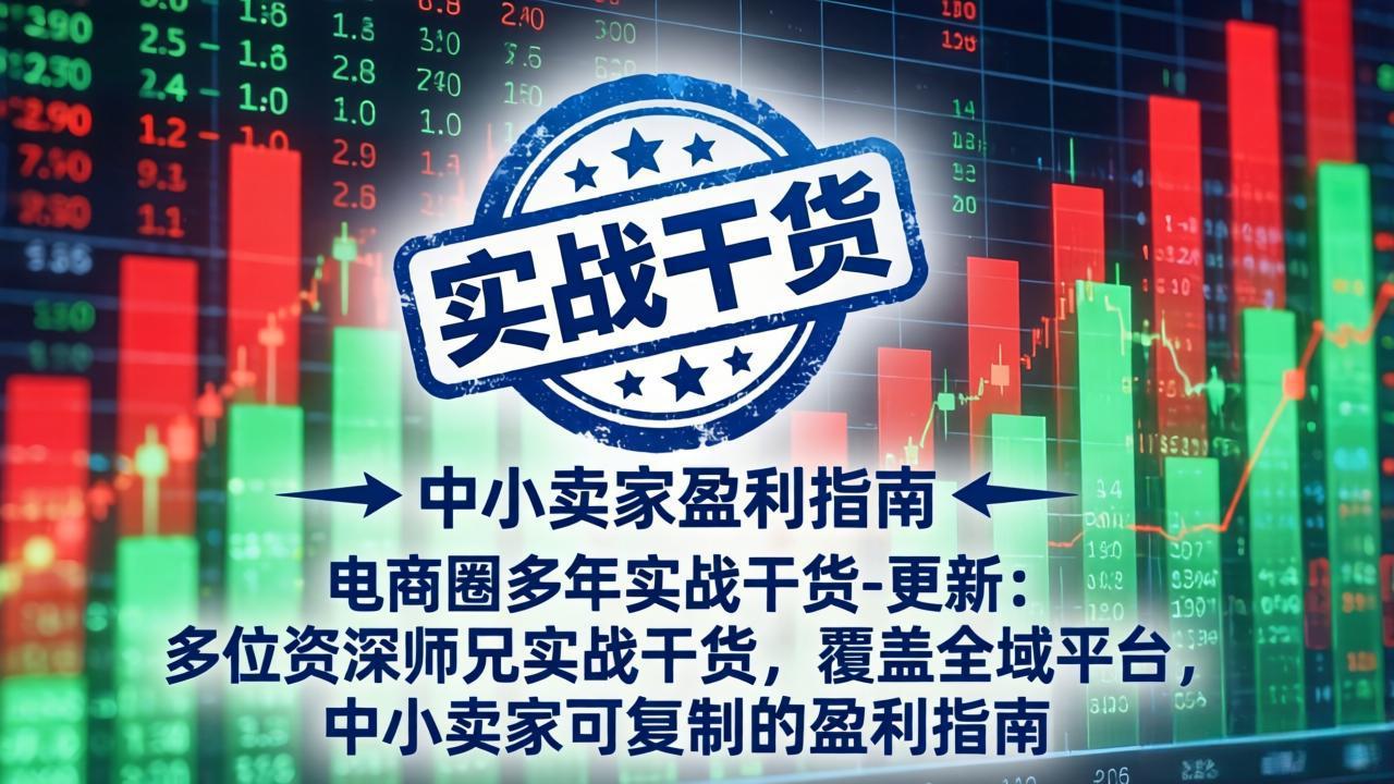 电商圈多年实战干货-更新4月27:多位资深师兄实战干货/覆盖全域平台,中小卖家可复制的盈利指南-熊猫博客